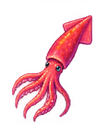 Humboldt Squid